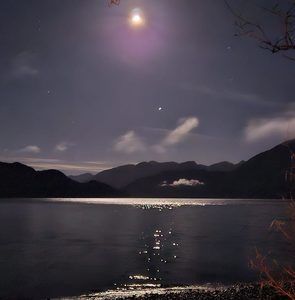 Meet your Posher, Micheal